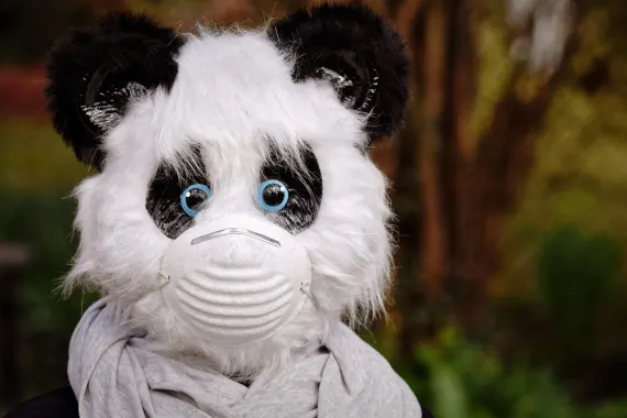 Casino Cabaret Club Podrška